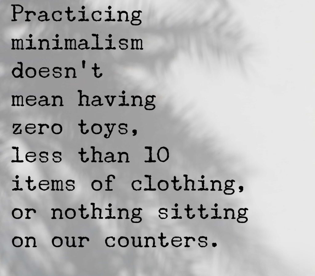 A quote to remind us to be intentional with social media use: practicing minimalism doesn't mean having zero toys, less than 10 items of clothing, or nothing sitting on our counters.